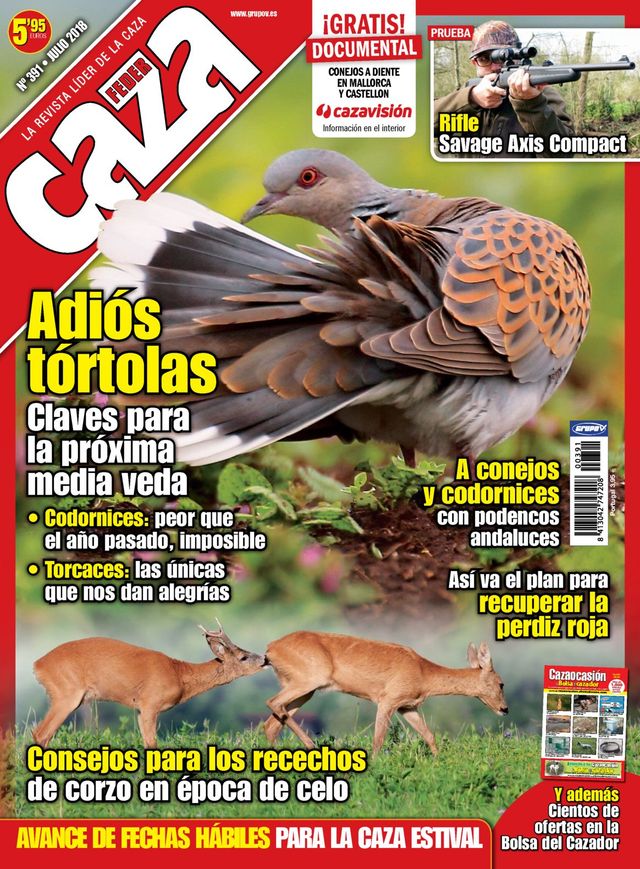 Feder Caza
