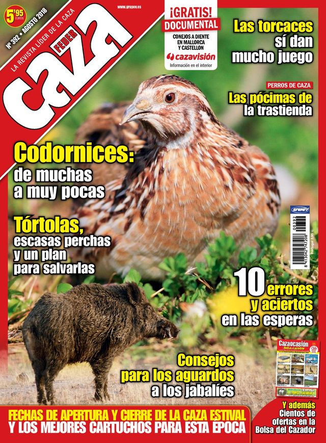 Feder Caza