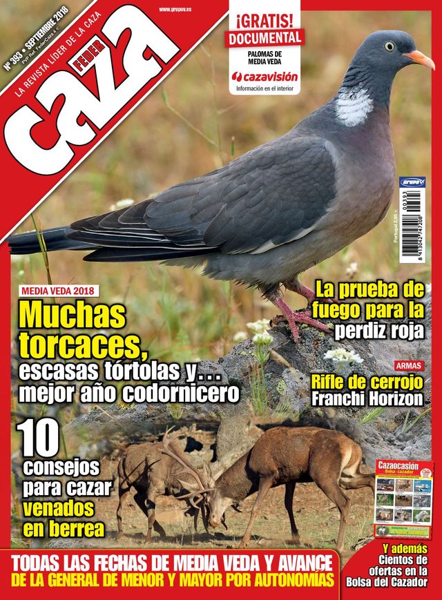 Feder Caza