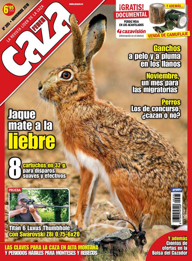 Feder Caza