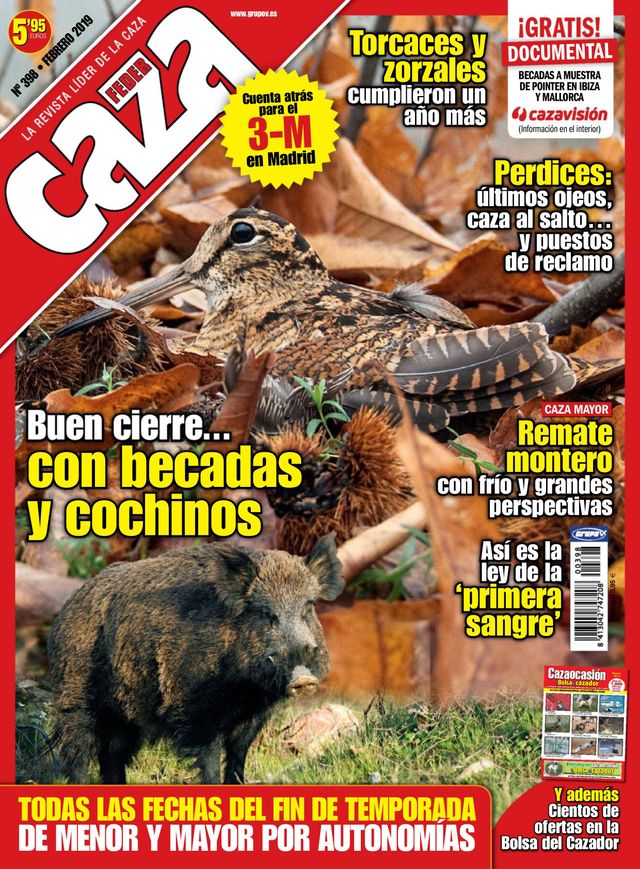 Feder Caza