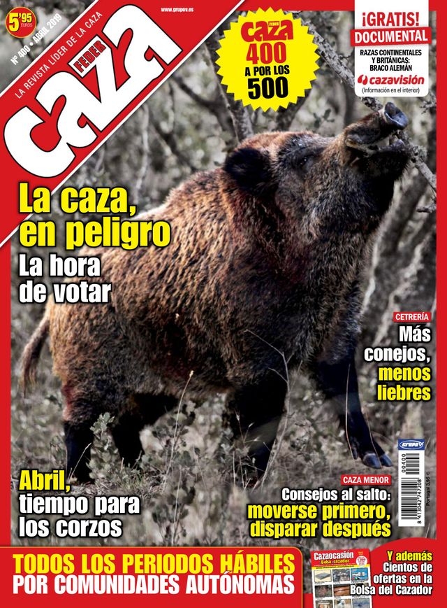 Feder Caza
