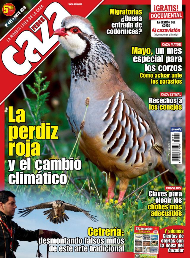 Feder Caza