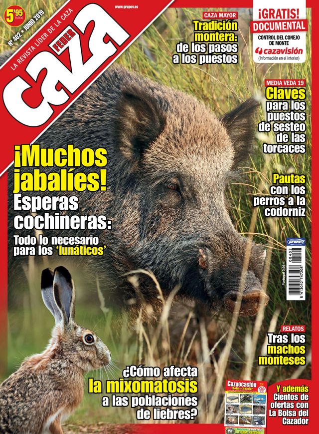 Feder Caza