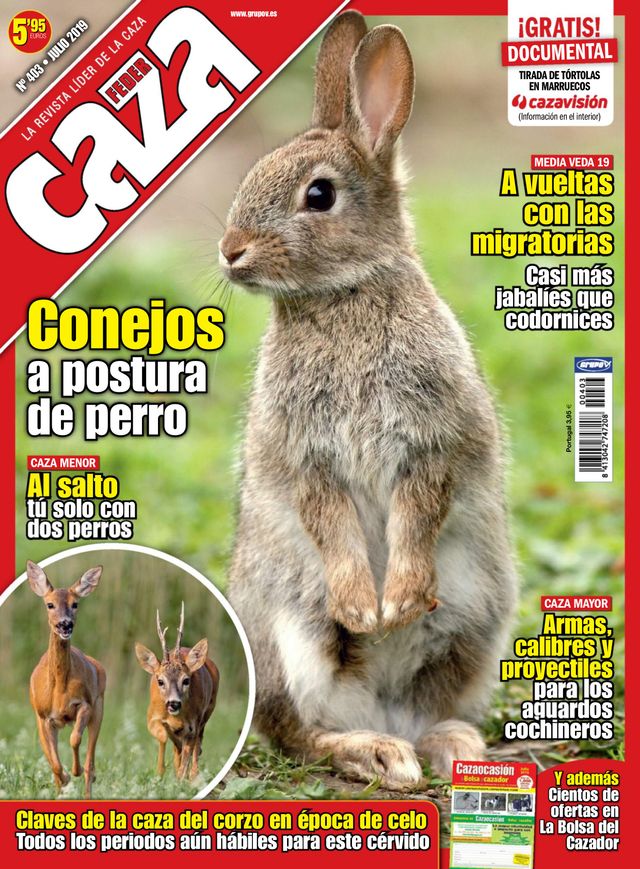 Feder Caza