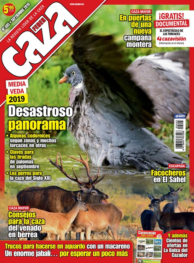 Gå ubegrenset med Magzter GOLD