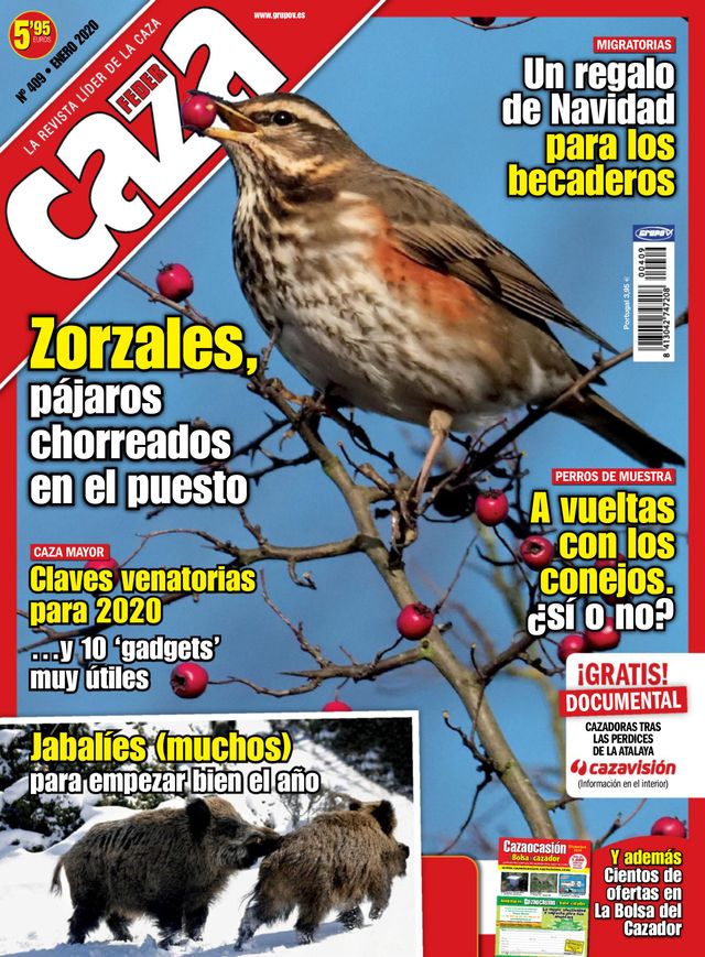 Feder Caza