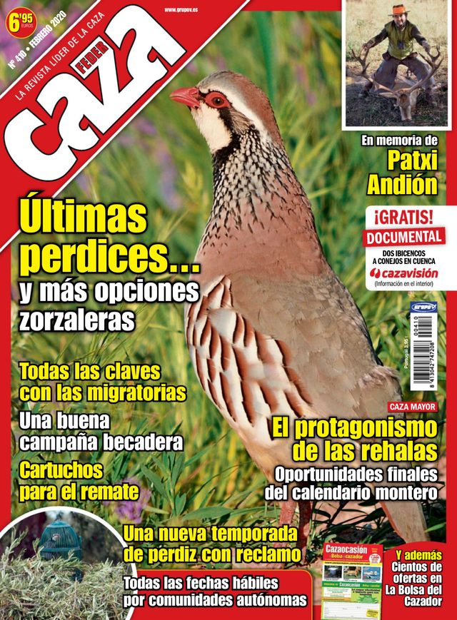 Feder Caza