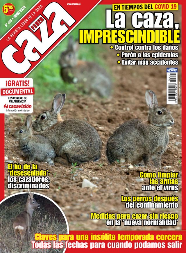 Feder Caza