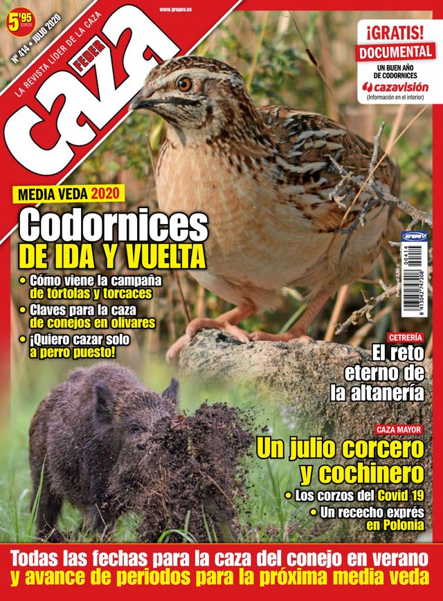 Feder Caza