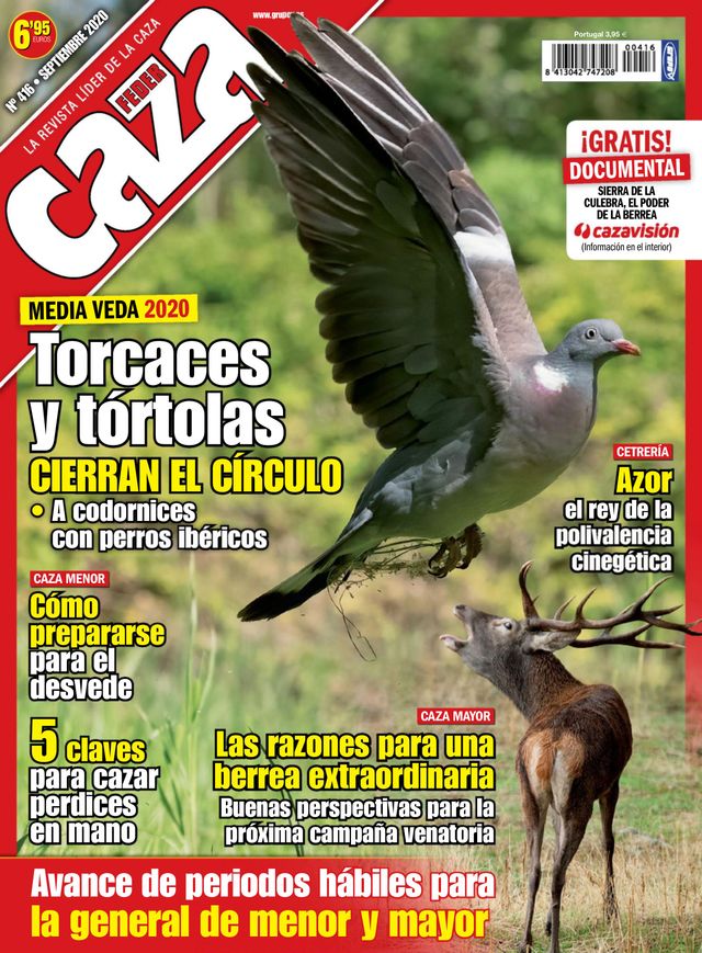 Feder Caza