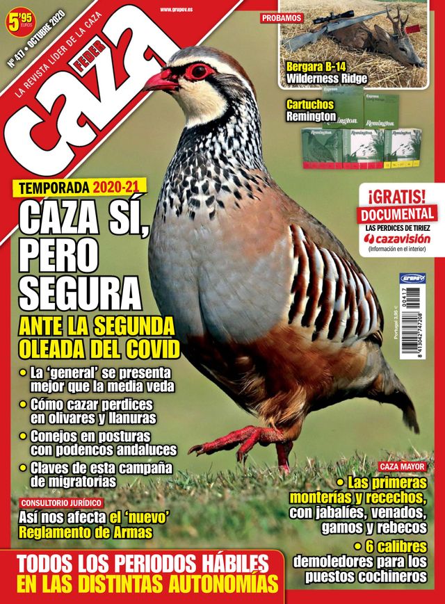 Feder Caza