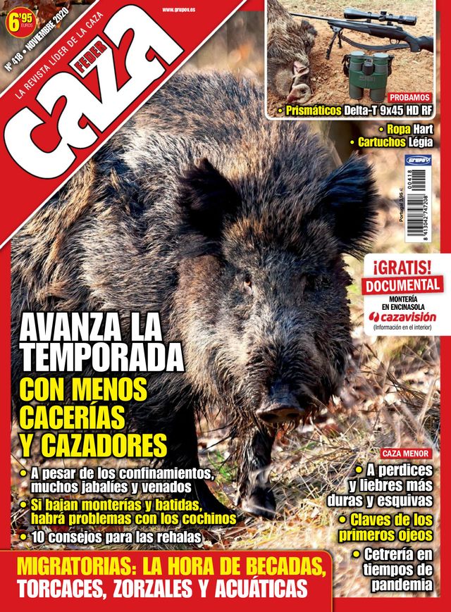 Feder Caza