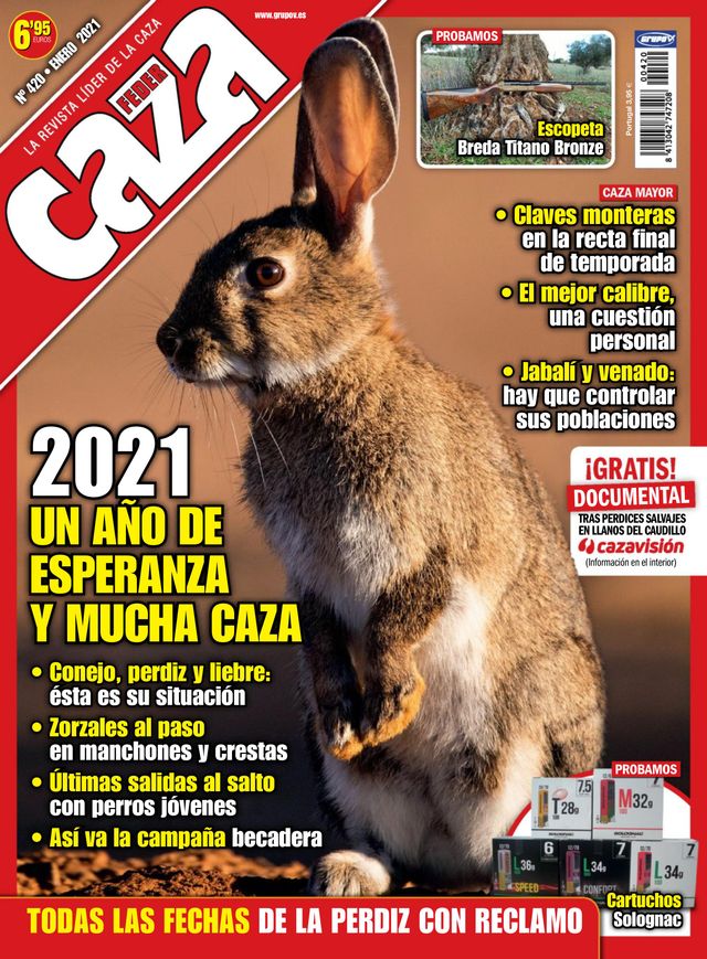 Feder Caza