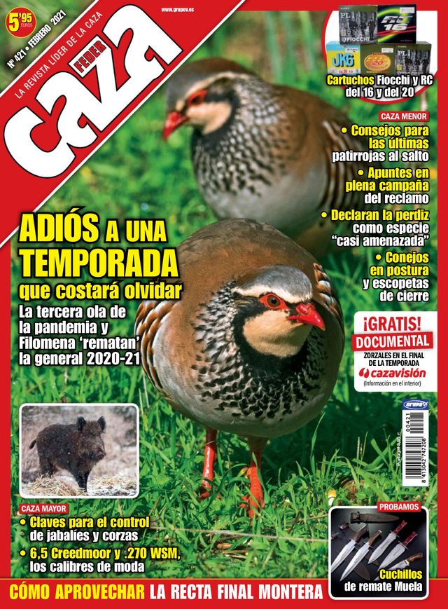 Feder Caza