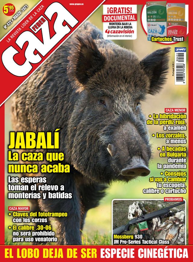 Feder Caza