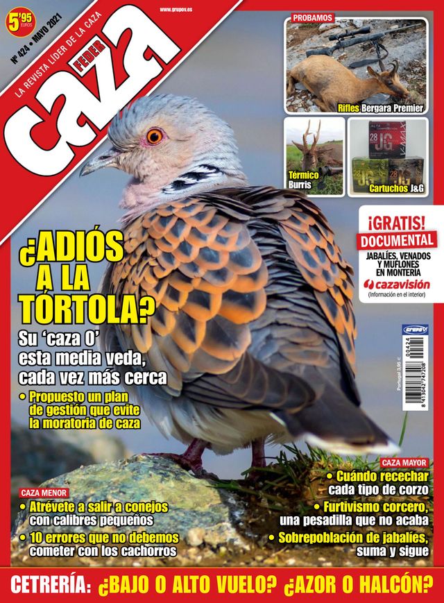 Feder Caza