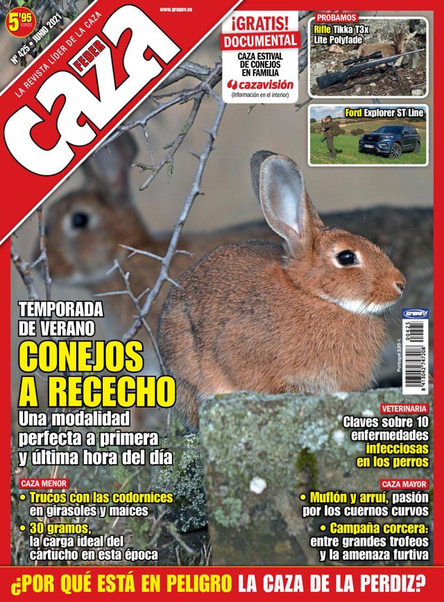 Feder Caza