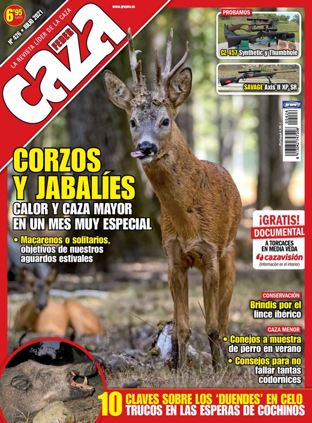 Feder Caza