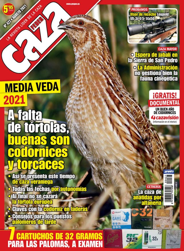 Feder Caza