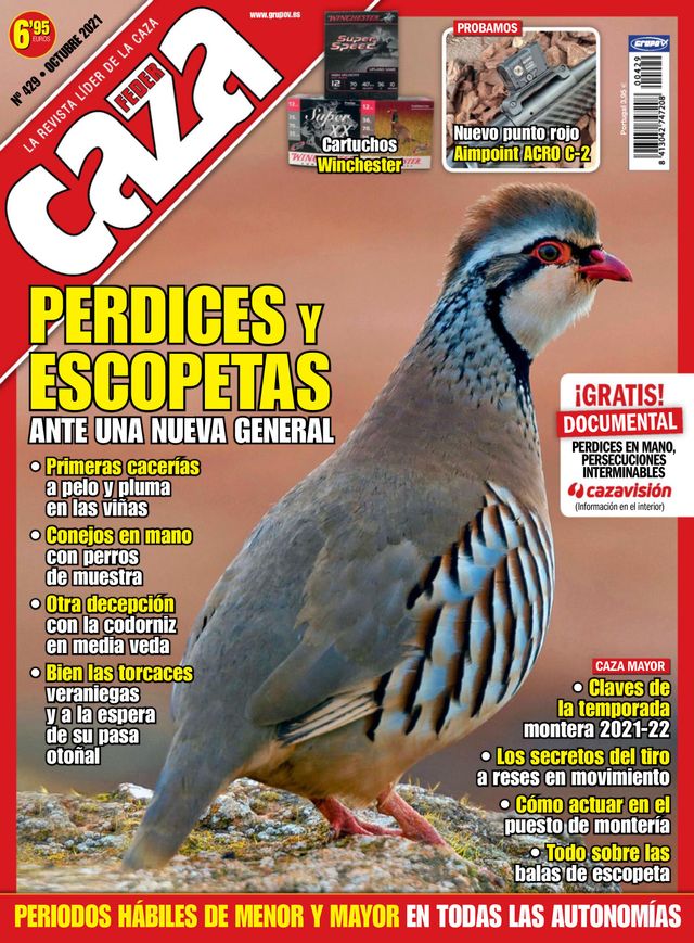 Feder Caza