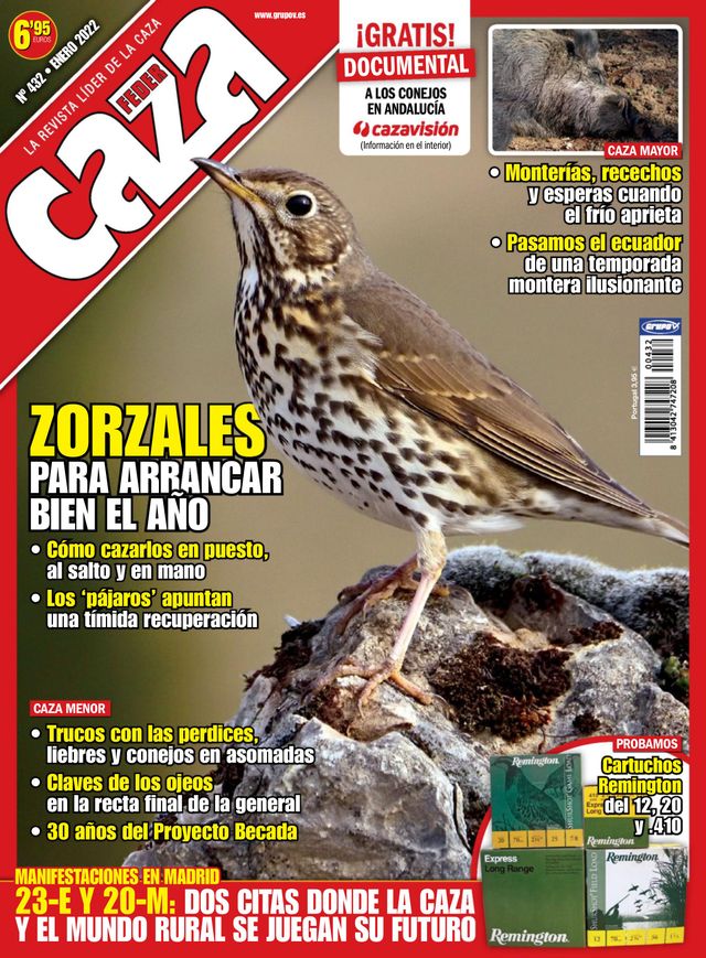 Feder Caza