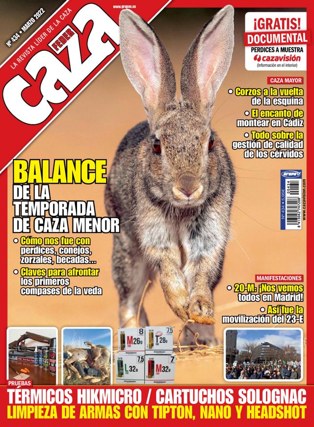 Feder Caza