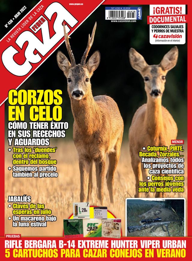 Feder Caza