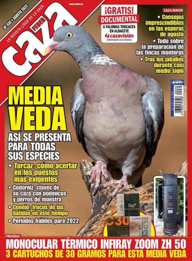 Feder Caza
