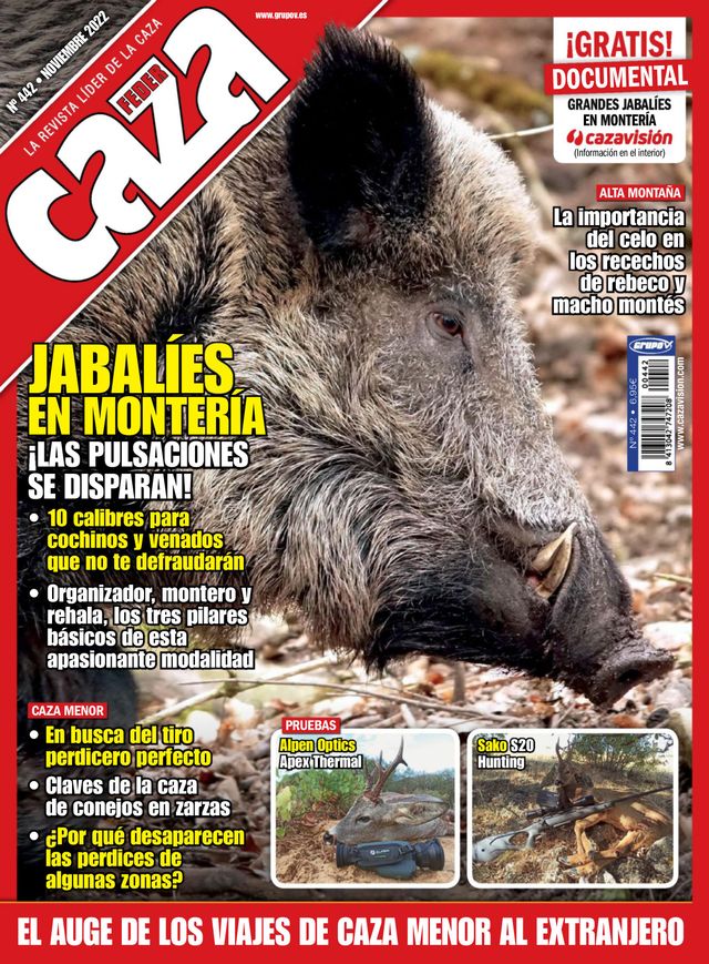 Feder Caza