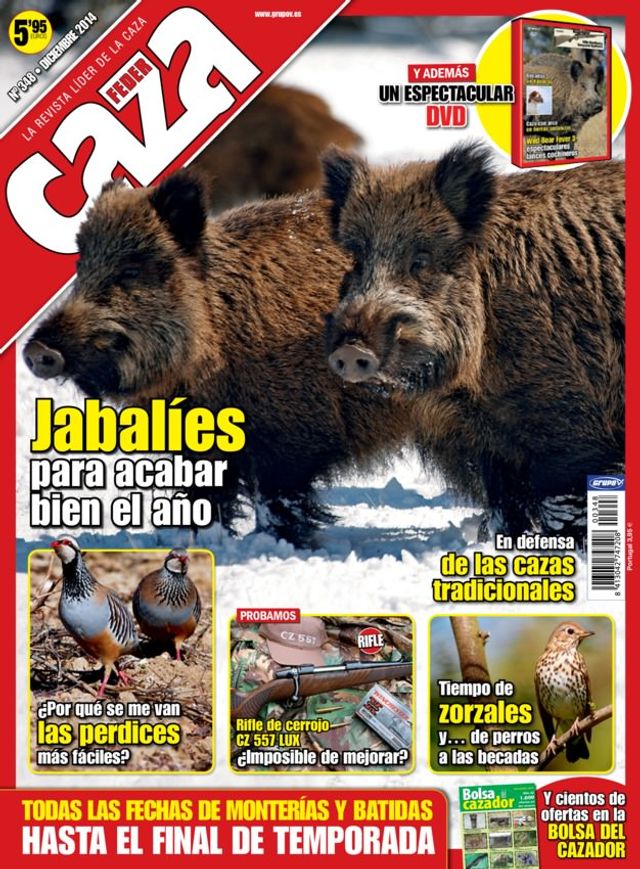Feder Caza