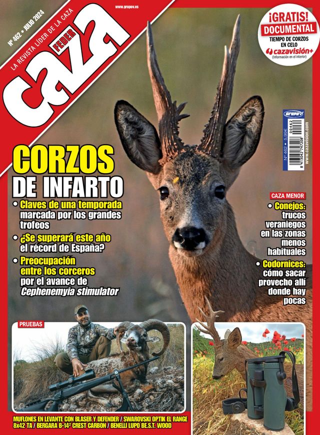 Feder Caza