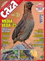 Feder Caza