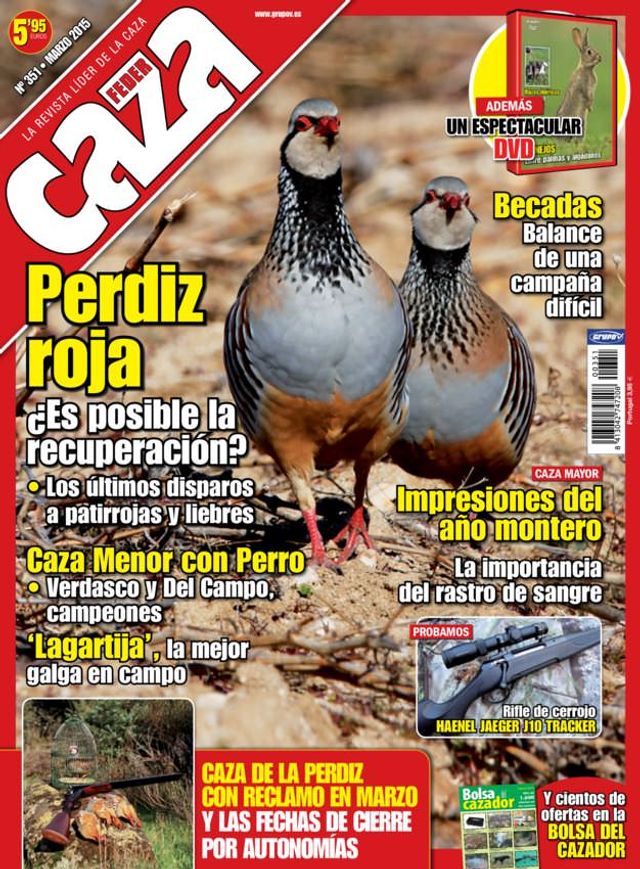 Feder Caza