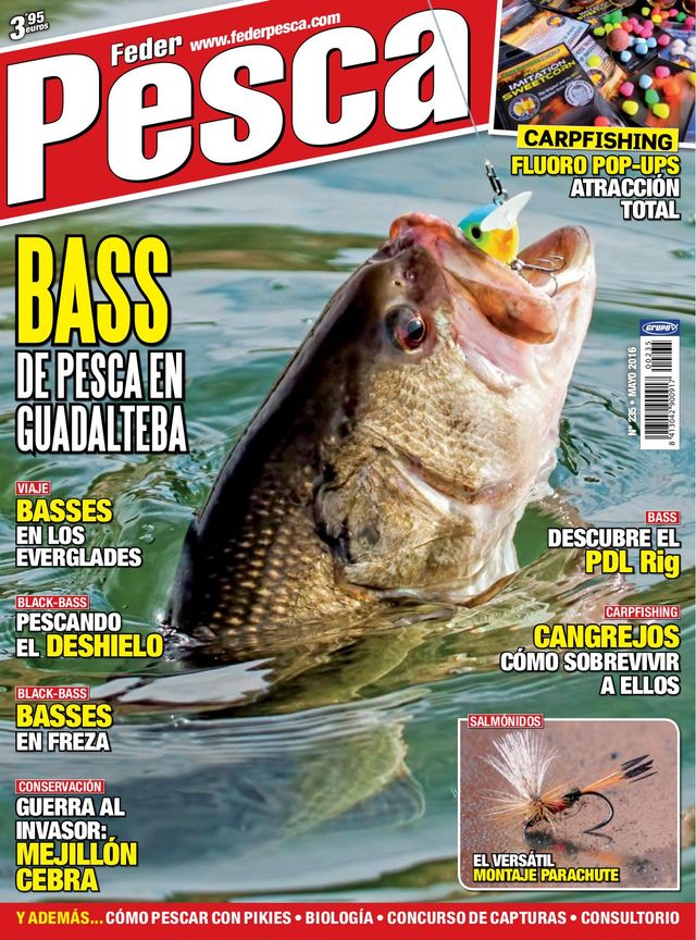 Federpesca