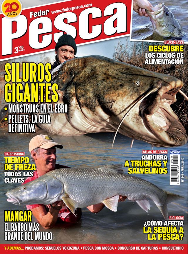 Federpesca