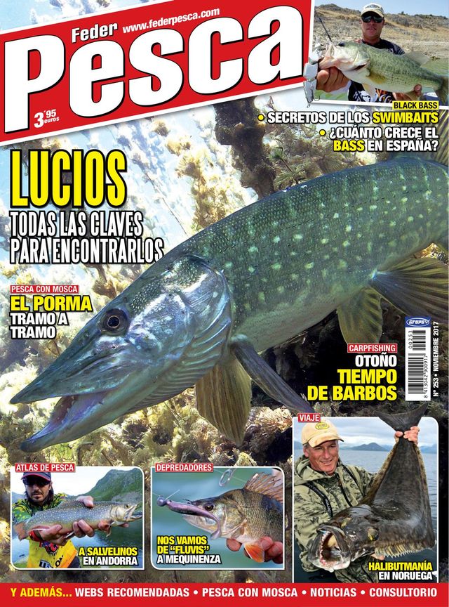 Federpesca