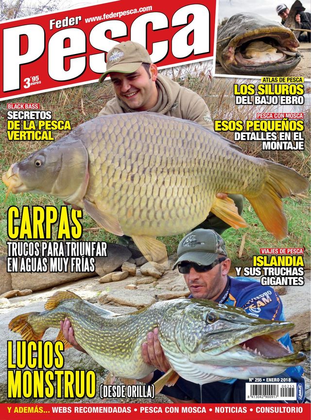 Federpesca