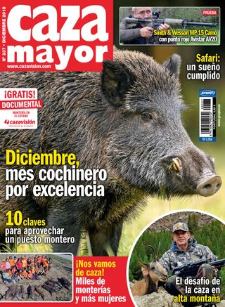 Caza Mayor