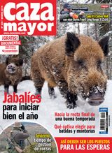 Enero 2019
