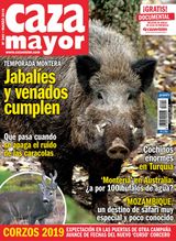 Marzo 2019