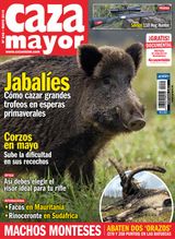 Mayo 2019