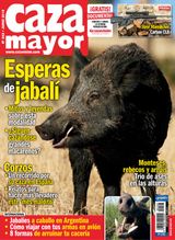 Junio 2019