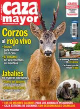 Julio 2019