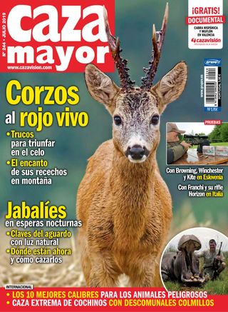 Caza Mayor