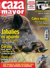Agosto 2019