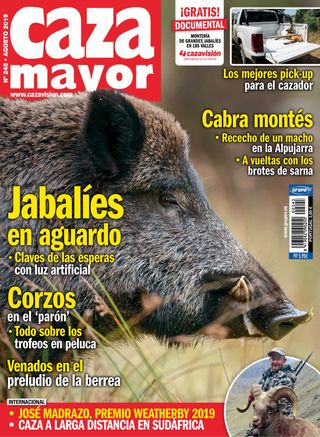 Caza Mayor