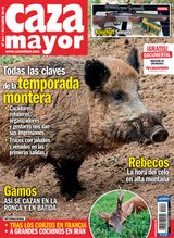 Octubre 2019