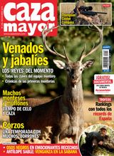 Noviembre 2019