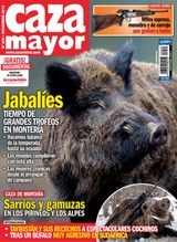 Diciembre 2019